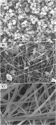 Controlling the Composition, Morphology, Porosity, and Surface Chemistry of Lignin-Based Electrospun Carbon Materials
